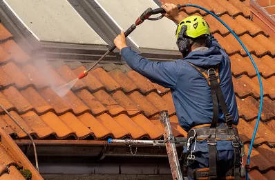 Démoussage et hydrofuge de toiture à Arbin